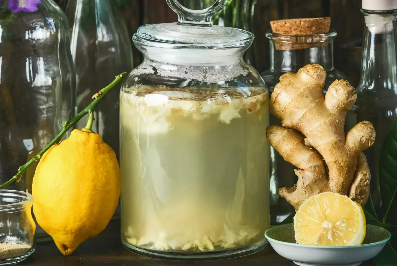 En stor glasburk med bubblande vätska, ingefära och en citron. Ingredienser för ett **ginger bug recept**.