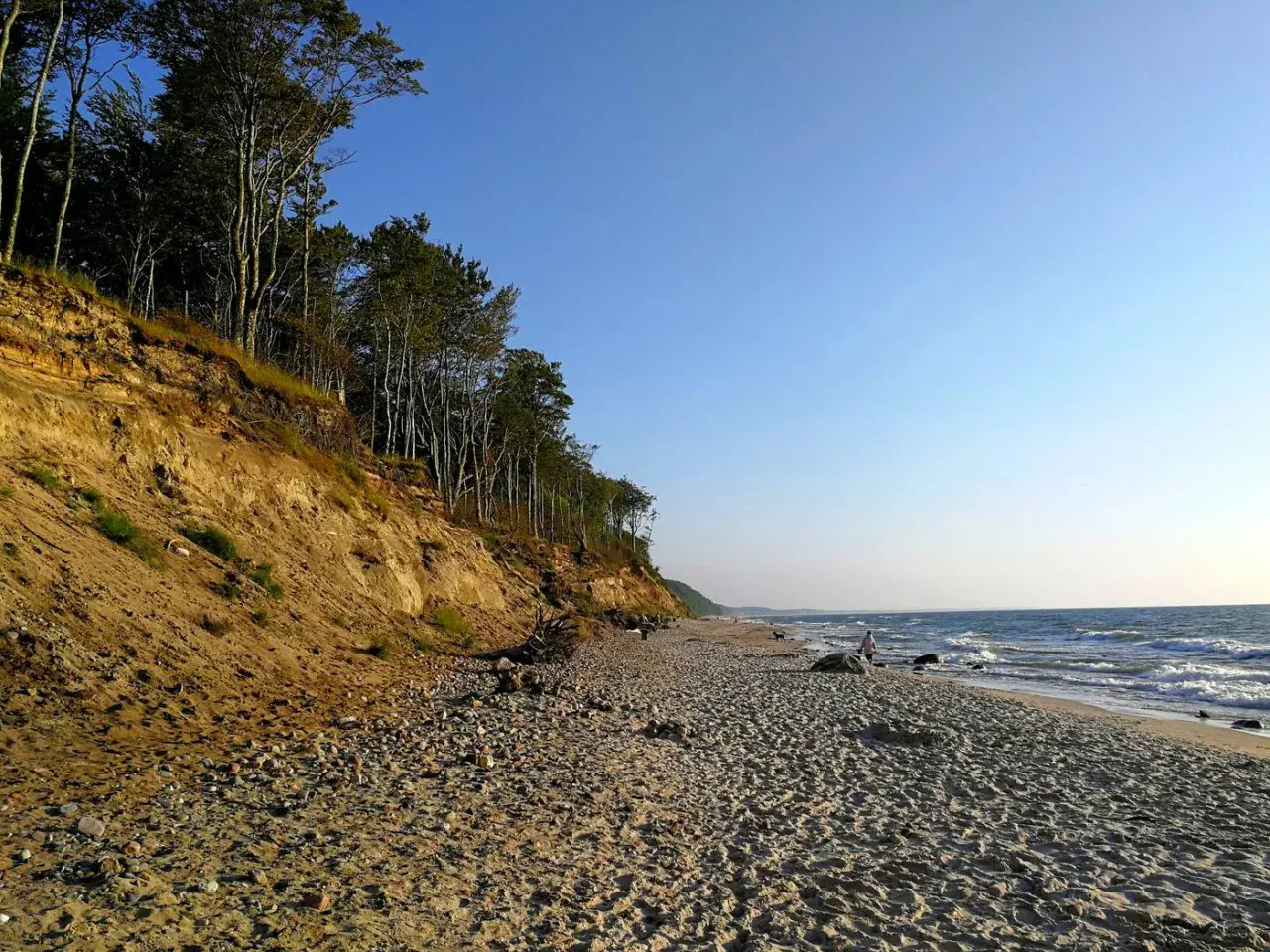 Dębina plaża z klifem porośniętym drzewami. Piasek i kamienie na brzegu, fale rozbijają się o brzeg.
