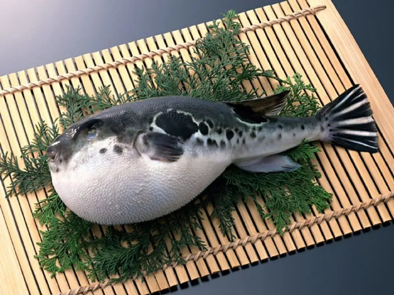 Okrągła ryba fugu, ozdobiona gałązkami iglaków, leży na bambusowej macie.