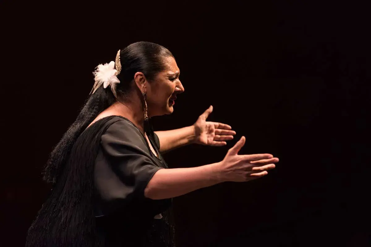 Una mujer flamenca, con un clavel en el pelo, baila con pasión, sus manos abiertas expresan el alma del flamenco.