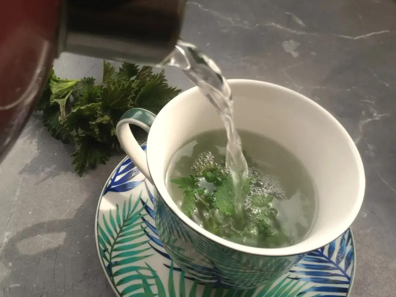 Gorąca woda zalewa świeżą pokrzywę w kubku, tworząc aromatyczną herbatę.