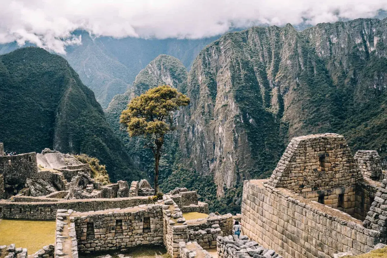 Die Ruinen von Machu Picchu, umgeben von steilen, grünen Bergen. Eine einsame Baumkrone ragt über die alten Steine. Ein unvergessliches Erlebnis auf meiner Machu Picchu Reise.