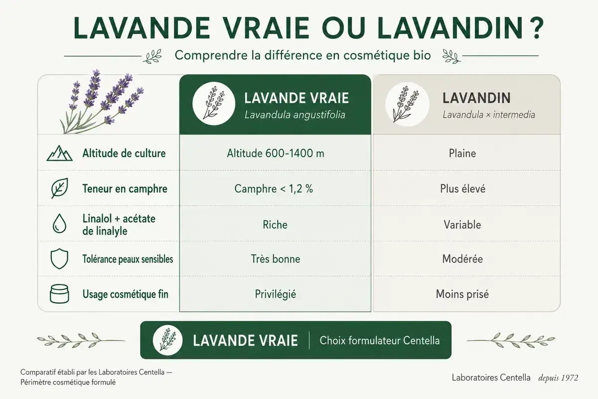 Tableau comparatif : Lavande vraie vs Lavandin. Découvrez les bienfaits de la lavande séchée pour la cosmétique bio.