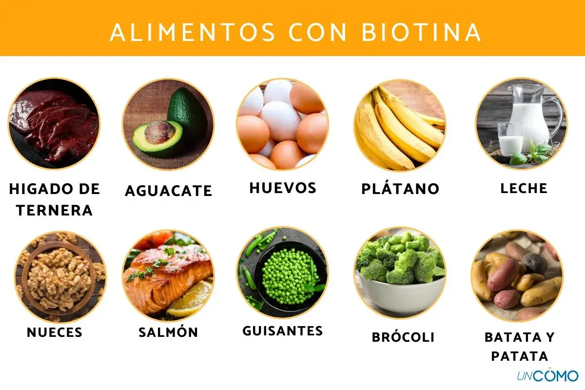 Alimentos ricos en vitamina B7: hígado, aguacate, huevos, plátano, leche, nueces, salmón, guisantes, brócoli y patatas.