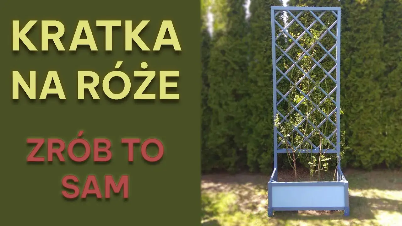 Jak zrobić pergolę na róże – krok po kroku, aby uniknąć błędów