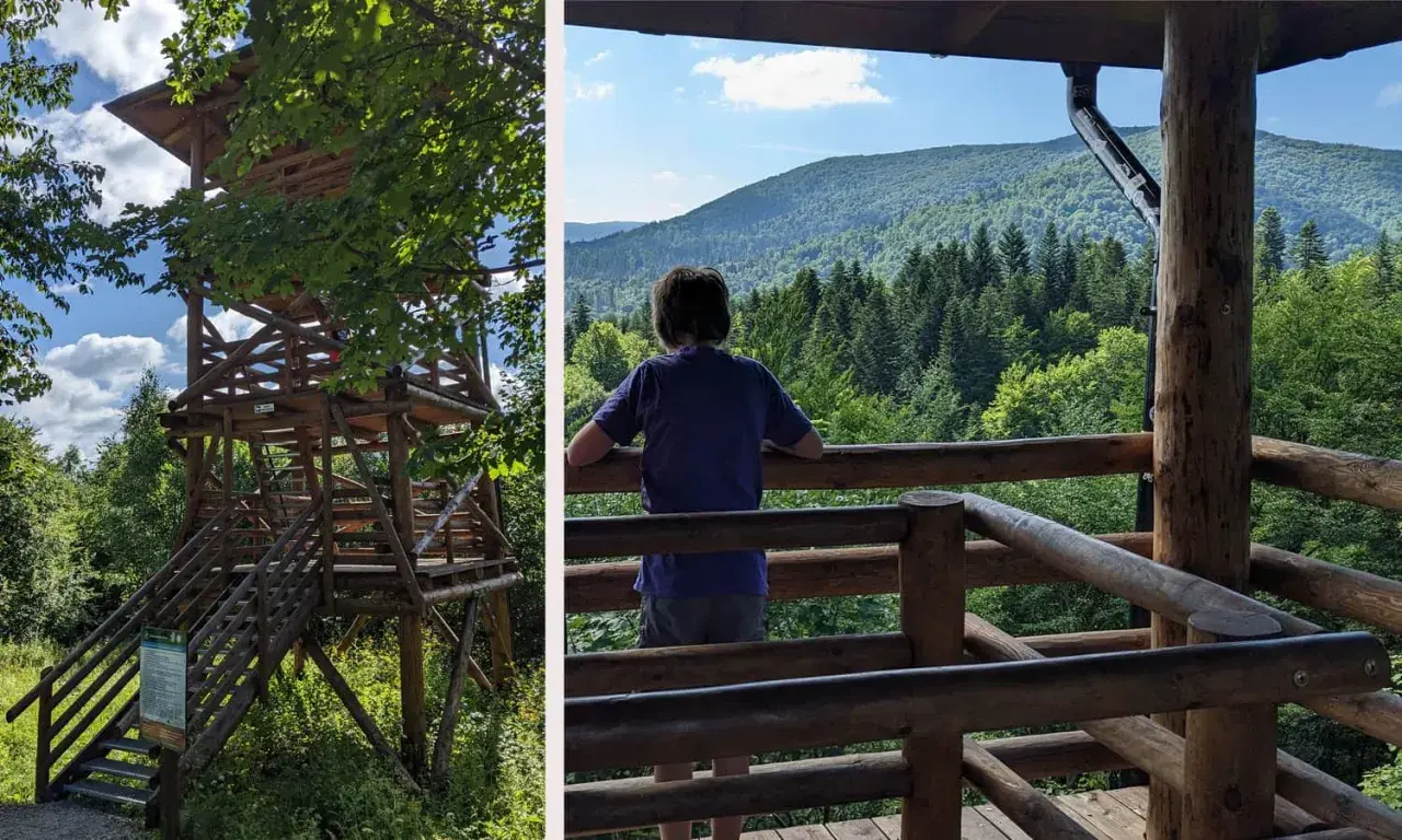 Drewniana wieża widokowa Szczerbanówka w otoczeniu zieleni. Dziecko podziwia panoramę gór z platformy widokowej.