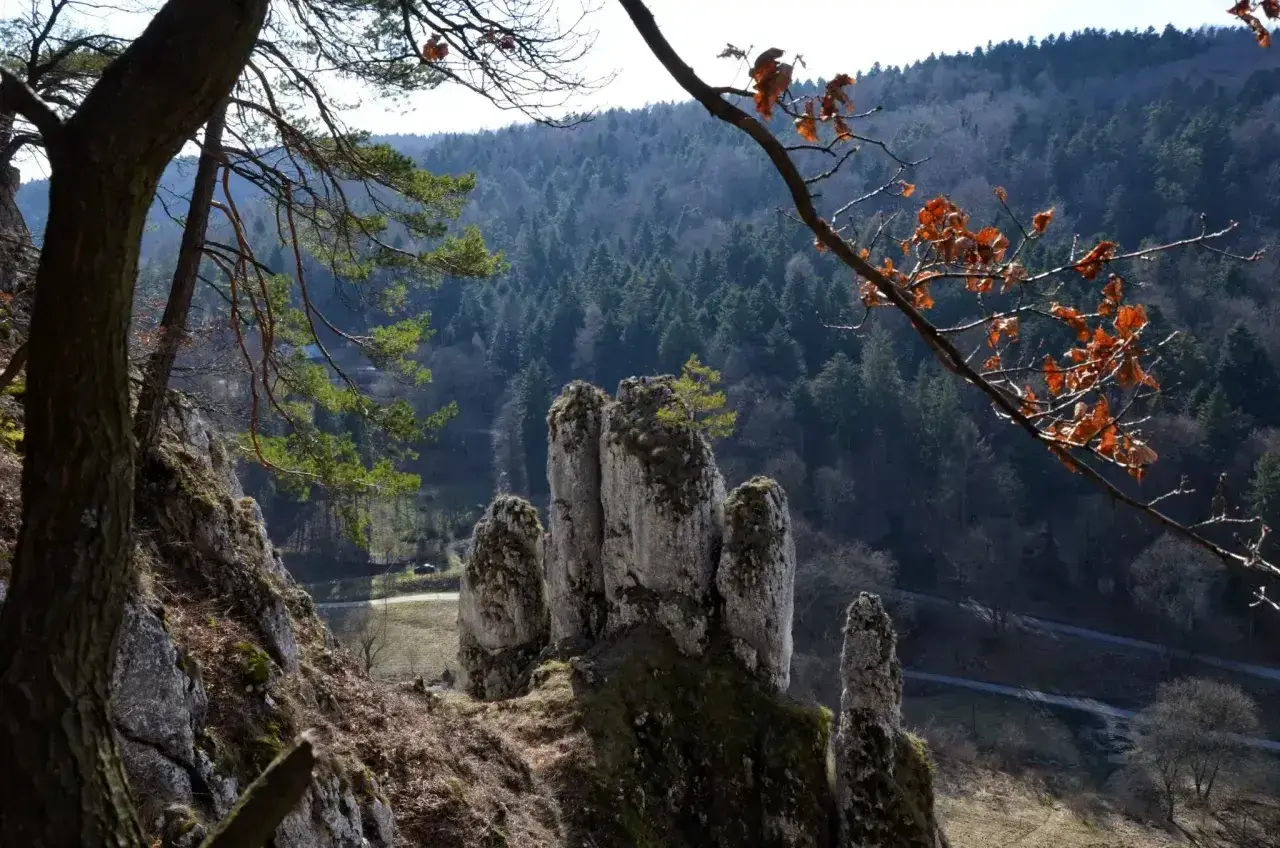 Skałki wapienne i las w tle, idealne na jednodniowe wycieczki z Krakowa.