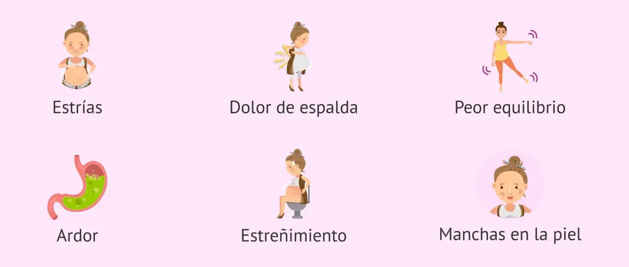 Ilustraciones de síntomas comunes en la semana 24 de embarazo: estrías, dolor de espalda, peor equilibrio, ardor, estreñimiento y manchas en la piel.