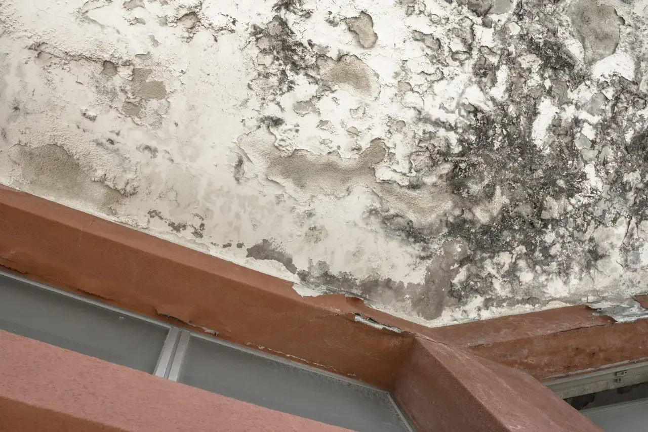 Plafond dégradé par un dégât des eaux, avec peinture écaillée et moisissures. Le syndic doit intervenir.