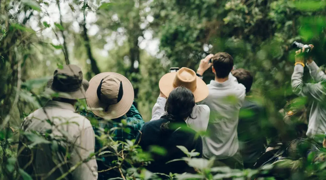 Följ med på en djungelvandring i Uganda! Här får du spännande fakta om landets rika natur och djurliv.