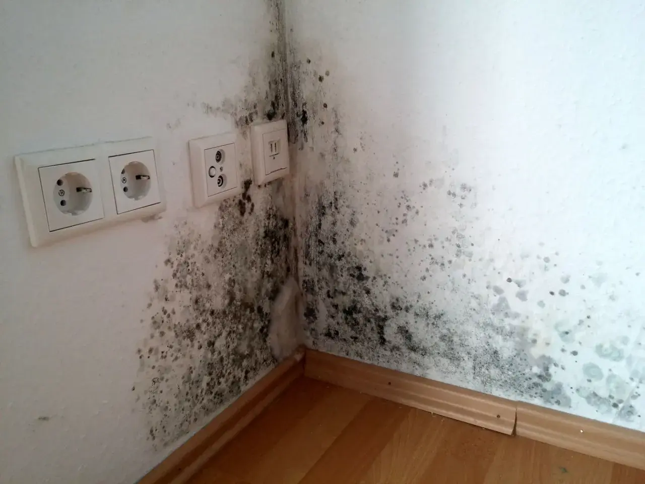 Stockflecken an der Wand, hier in einer Ecke nahe Steckdosen, deuten auf Feuchtigkeitsprobleme hin. Ursache für Schimmelbildung.