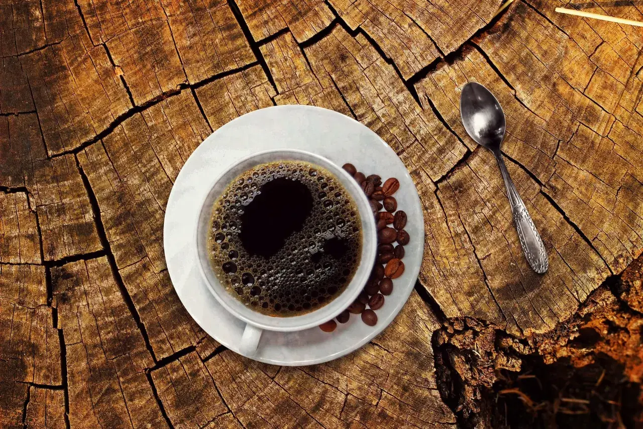 En kopp kaffe med bönor och en sked på en trädstam. För den som ammar kan koffein vara en känslig fråga.