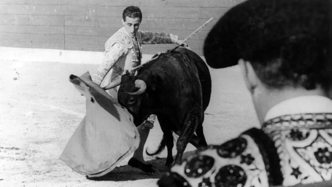 El viti torero, con su traje de luces, se enfrenta a un toro bravo en la arena.
