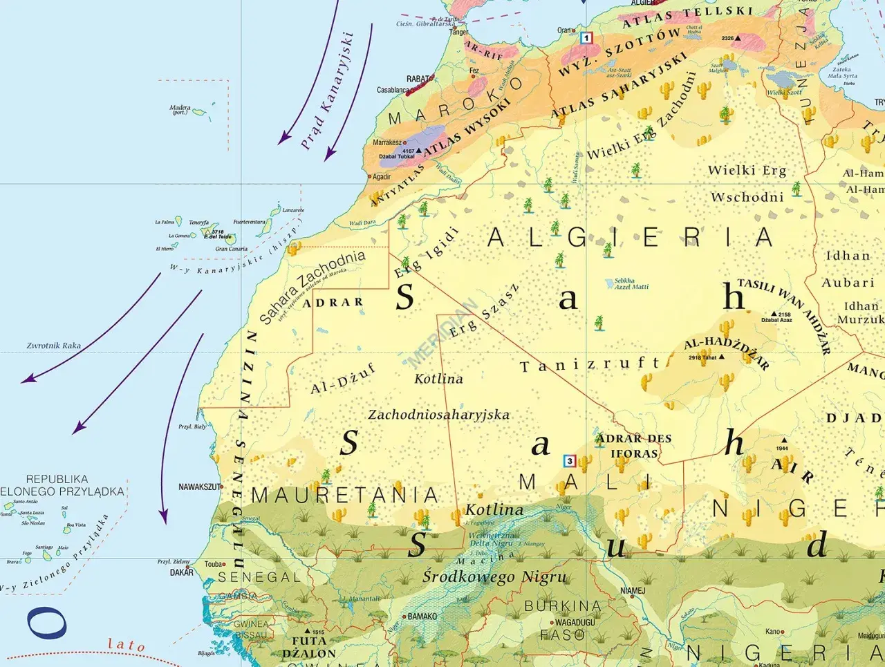 Afryka powierzchnia: pustynne krajobrazy Sahary Zachodniej, Algierii i Mauretanii z oazami i górami.