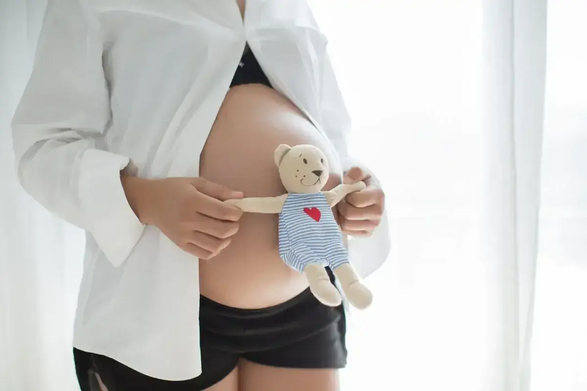 Pancia di donna incinta con orsacchiotto. Il conteggio dei mesi tra due date è un'attesa dolce.