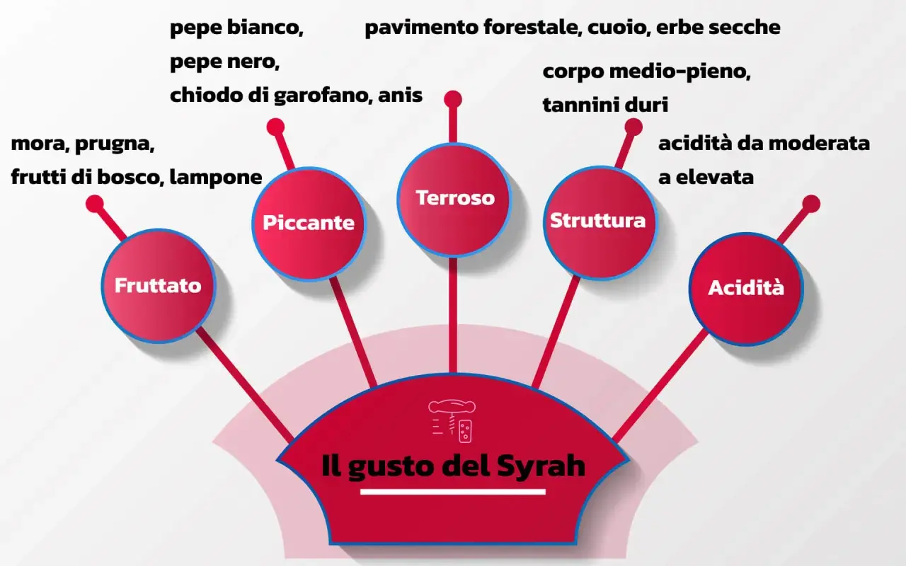 Il gusto del Syrah: fruttato, piccante, terroso, con struttura e acidità. Note di mora, pepe, spezie e sentori della valle del Rodano.