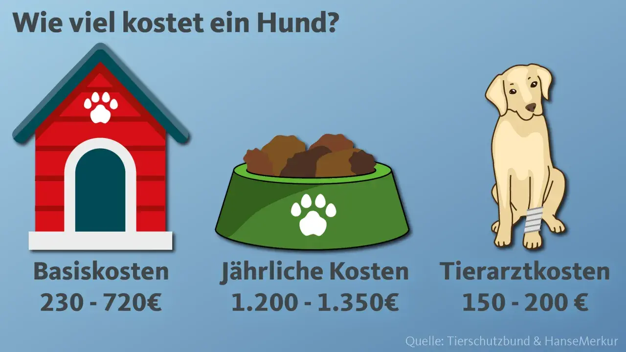Grafik zeigt, wie viel kostet ein Hund: Hundehütte (Basiskosten 230-720€), Futter (jährlich 1.200-1.350€) und ein Hund mit Verband (Tierarztkosten 150-200€).