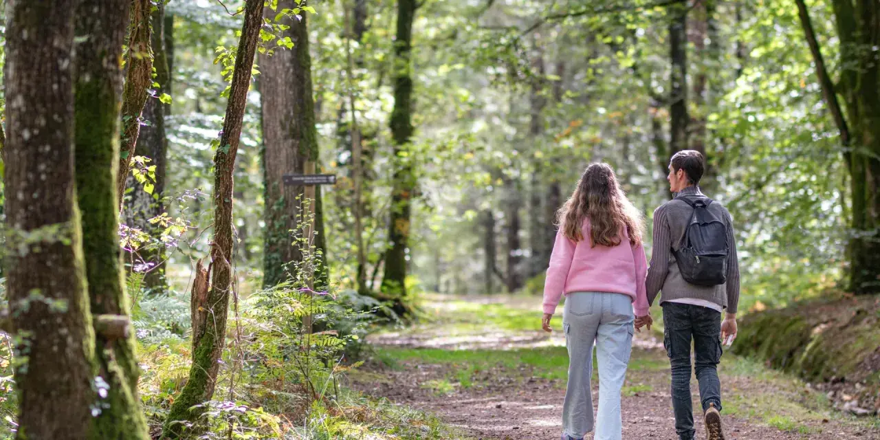 Couple en randonnée à Brocéliande, main dans la main sur un sentier forestier baigné de lumière.