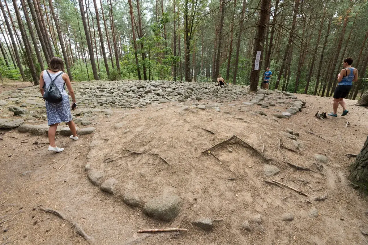 Kamienne kręgi i grodziska w lesie, ludzie zwiedzają.