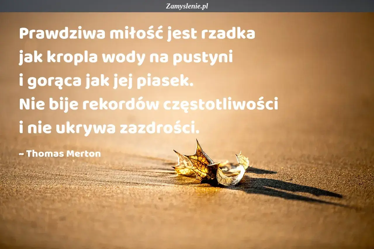 Prawdziwa miłość jest rzadka jak kropla wody na pustyni, gorąca jak piasek. Cytaty o miłości Thomasa Mertona przypominają o jej unikalności.