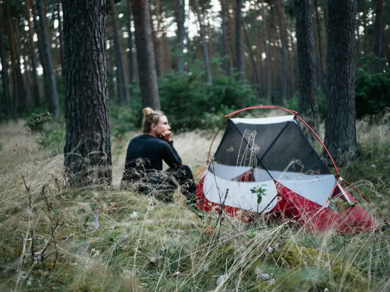 Ein Mann sitzt nachdenklich neben einem roten Zelt im Wald. Hier darf man im Wald zelten und die Natur genießen.