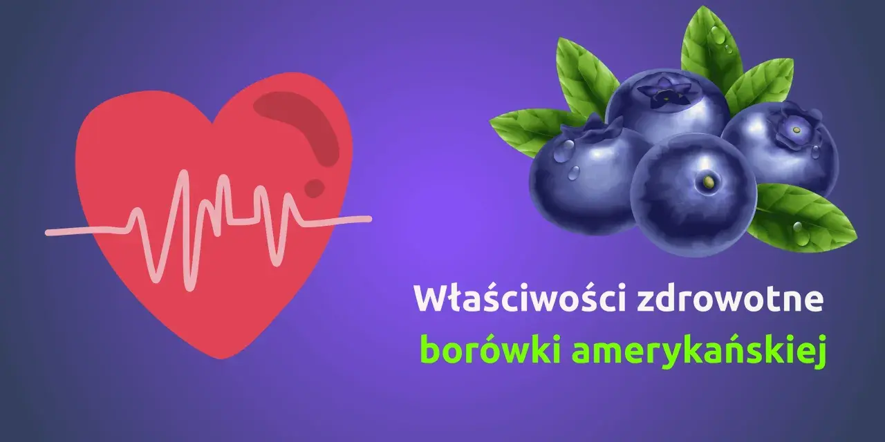 Serce z EKG i borówki amerykańskie. Dowiedz się, jakie witaminy mają borówki i jak wpływają na zdrowie.