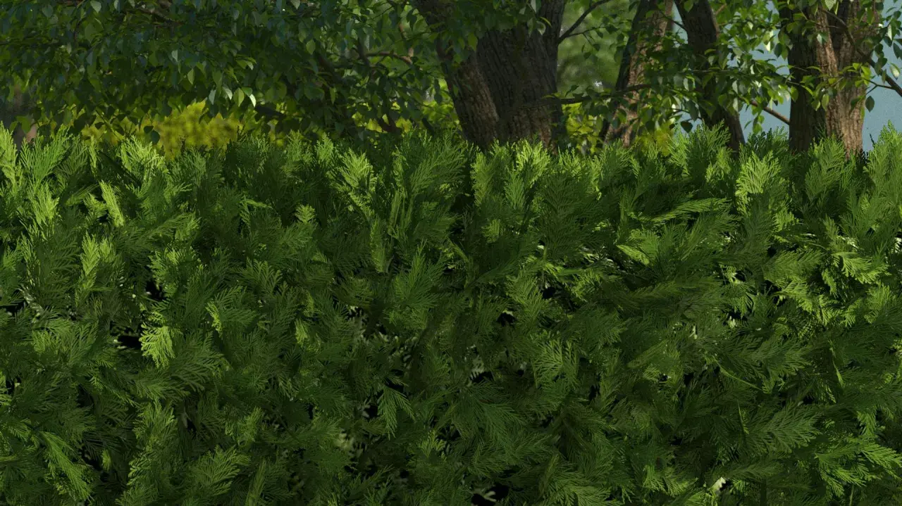 Dichte, grüne Thuja-Hecke mit robusten Stauden im Hintergrund. Dahinter ragen Bäume mit Blättern und Stämmen auf.