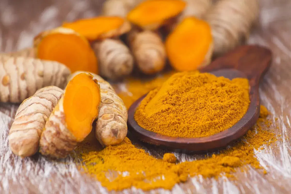 Radici di curcuma fresche e in polvere, un elemento chiave nell'elenco spezie indiane, su un cucchiaio di legno.