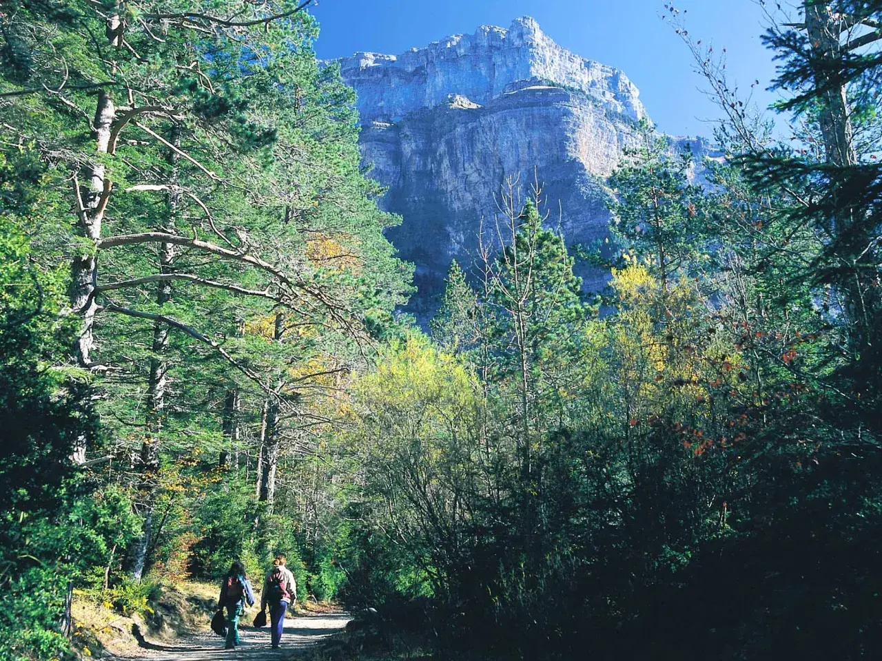Two hikers enjoy a scenic walk in Spain, surrounded by lush trees and a majestic mountain backdrop.