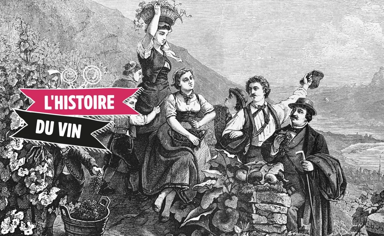 Gravure ancienne illustrant la récolte des raisins, évoquant l'origine du vin. Des vendangeurs, hommes et femmes, portent des paniers de fruits.