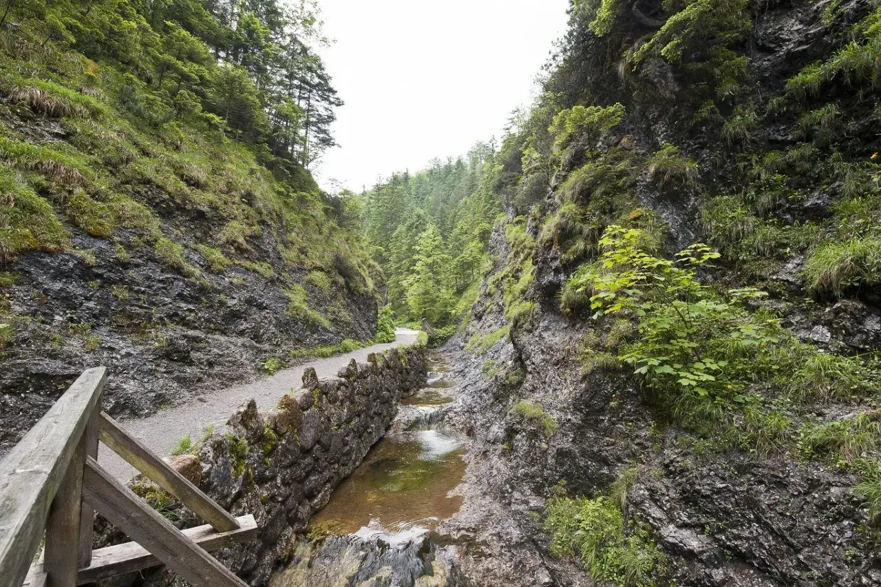 Kamienista ścieżka wzdłuż potoku w skalistej dolinie. Zielone zbocza porośnięte trawą i drzewami. Trasa w Dolinie Białego zaprasza na spacer.