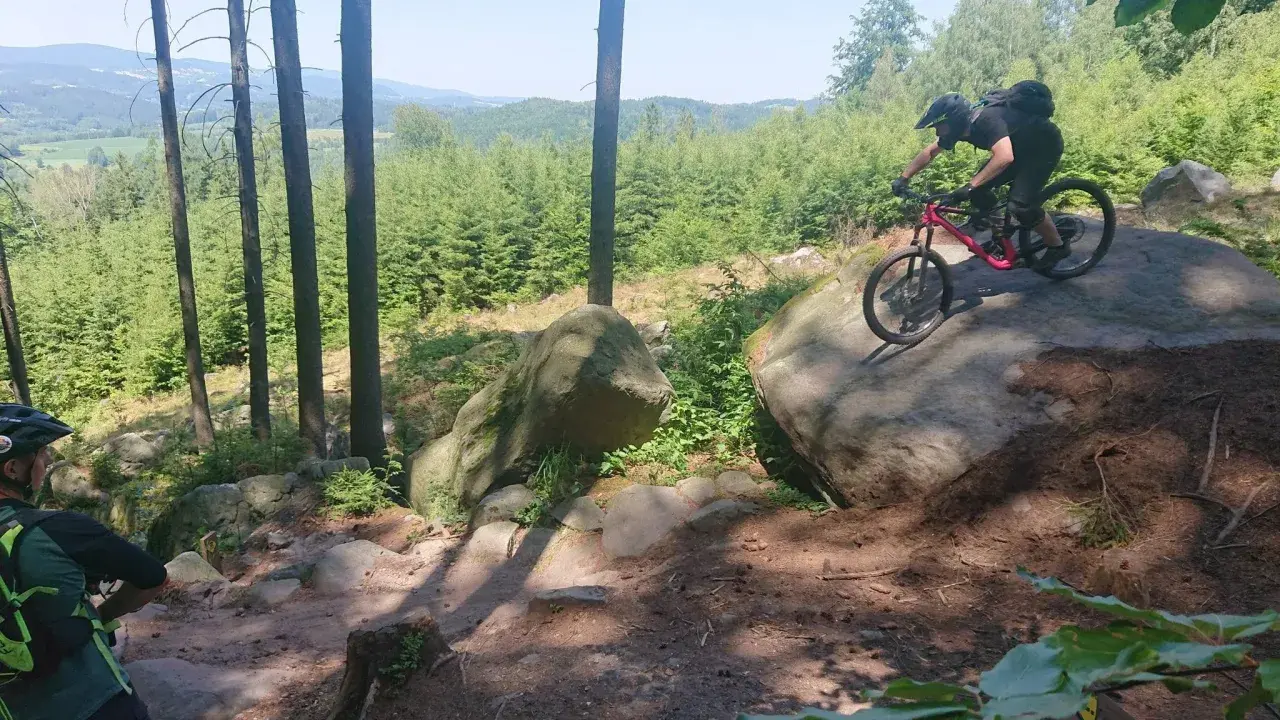 Mountainbiker meistert felsige, schnelle Trails in einem sonnigen Wald.