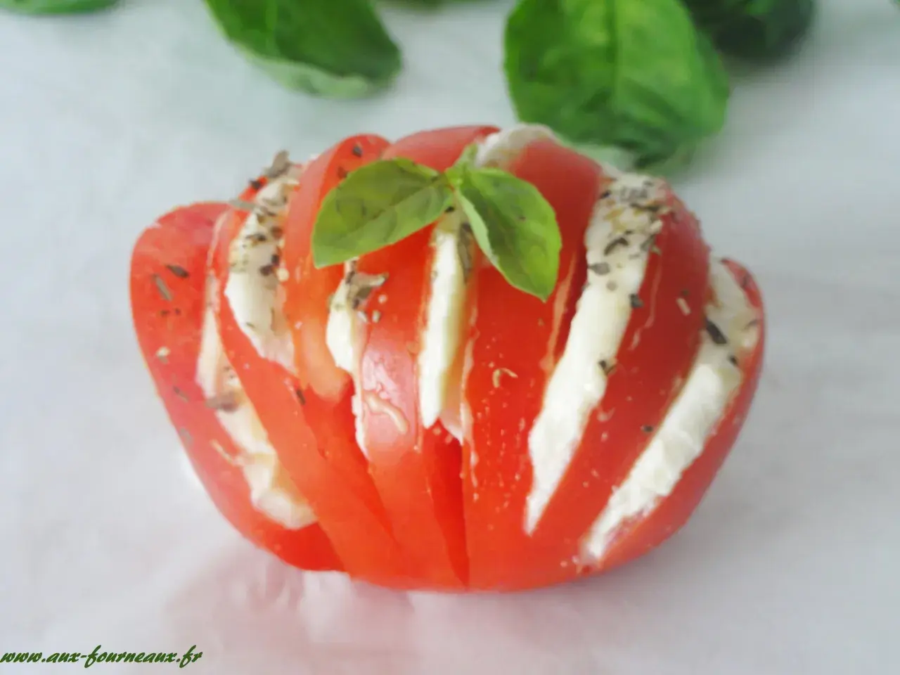 Tomate farcie d'une délicieuse recette avec mozzarella, garnie de basilic frais et d'herbes. Une bouchée d'été parfaite.
