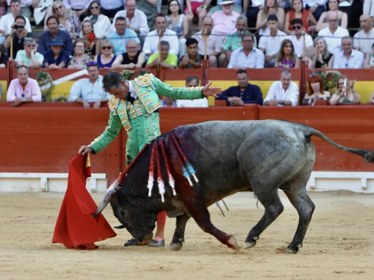 Un torero alicantino, con traje de luces verde, se enfrenta a un toro en la arena. El público observa desde las gradas.