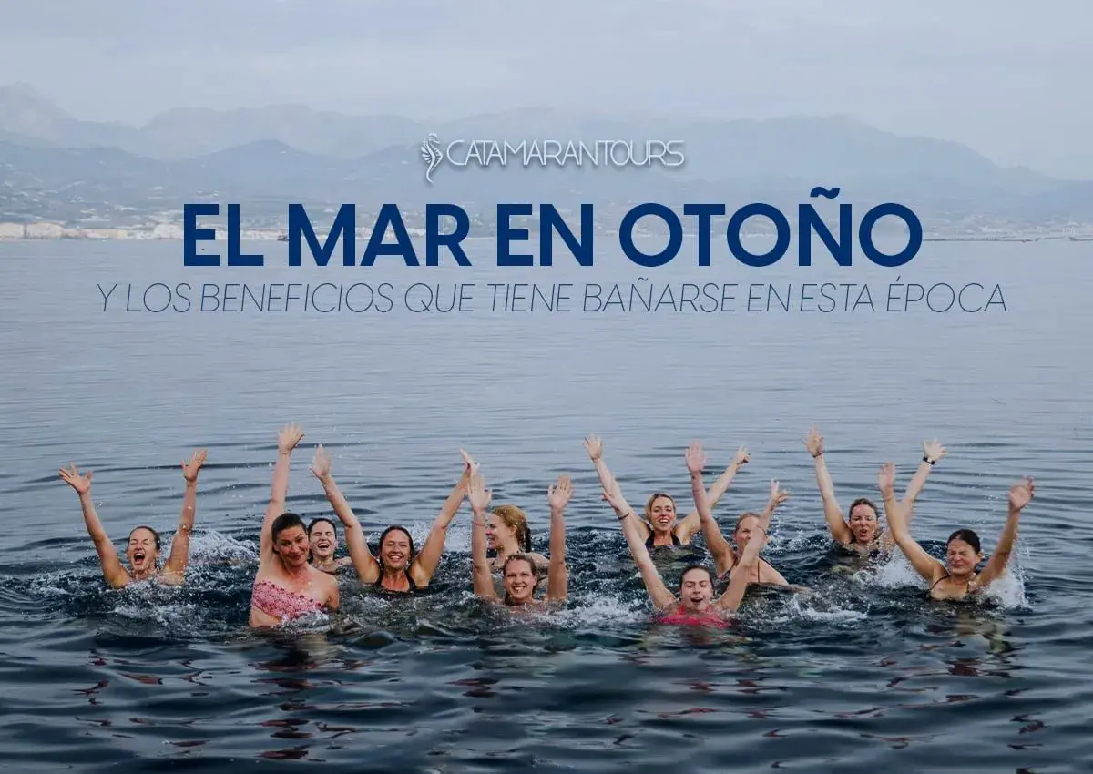 Grupo de personas nadando en el mar con los brazos en alto, disfrutando de los beneficios de bañarse en otoño.