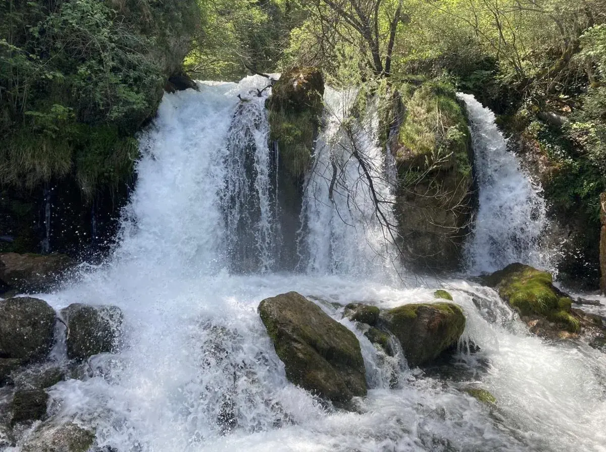 Cascada con agua espumosa cayendo sobre rocas cubiertas de musgo, como un bullidor de la llet en la naturaleza.