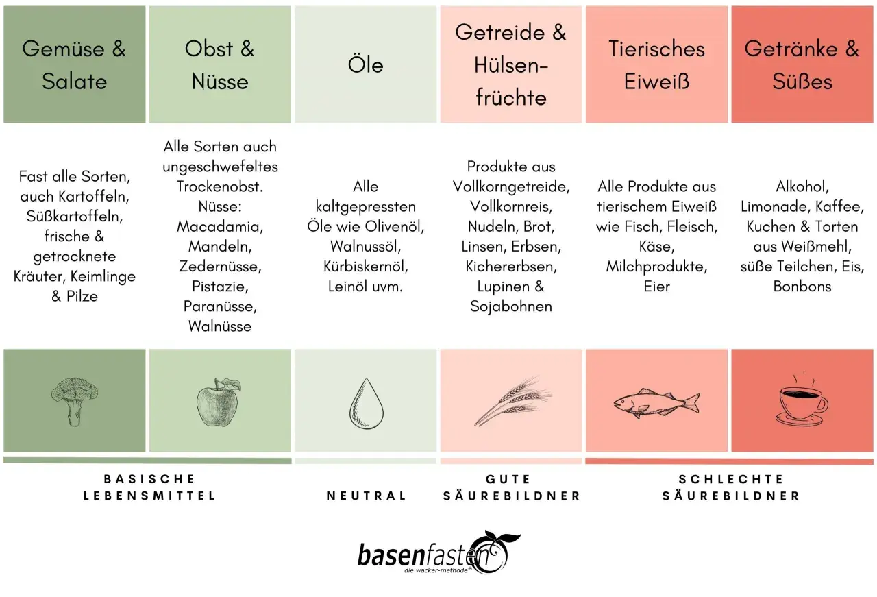 Übersicht über basische, neutrale und säurebildende Lebensmittel für eine Detox-Ernährung. Die Detox-Lebensmittel Tabelle zeigt Gemüse, Obst, Nüsse, Öle, Getreide, Hülsenfrüchte, tierisches Eiweiß und Süßes.