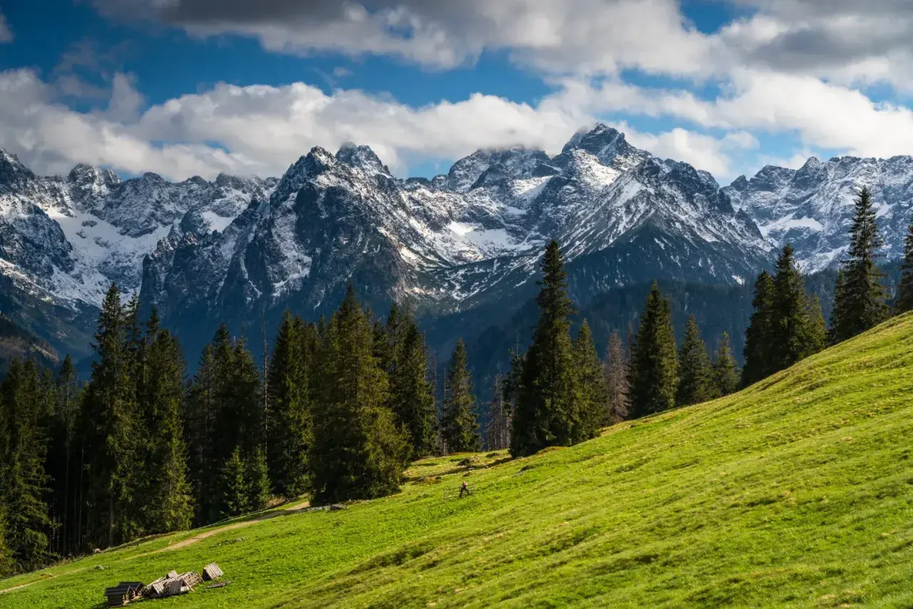 Zielone zbocze z widokiem na ośnieżone szczyty Tatr. Idealne miejsce na wycieczki w Tatry, z lasem iglastym i kilkoma chatkami.