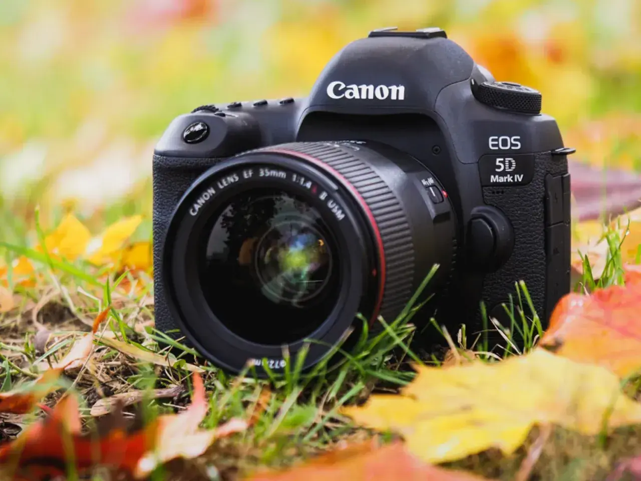 Canon EOS 5D Mark IV z obiektywem 35mm f/1.4 na tle jesiennych liści. Idealny sprzęt do uchwycenia piękna przyrody.