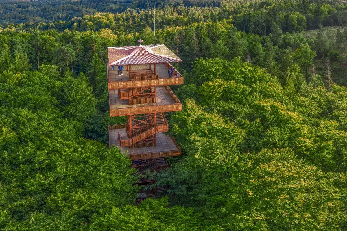 Wieża widokowa na najwyższym wzniesieniu na Kaszubach, otoczona bujnym lasem.