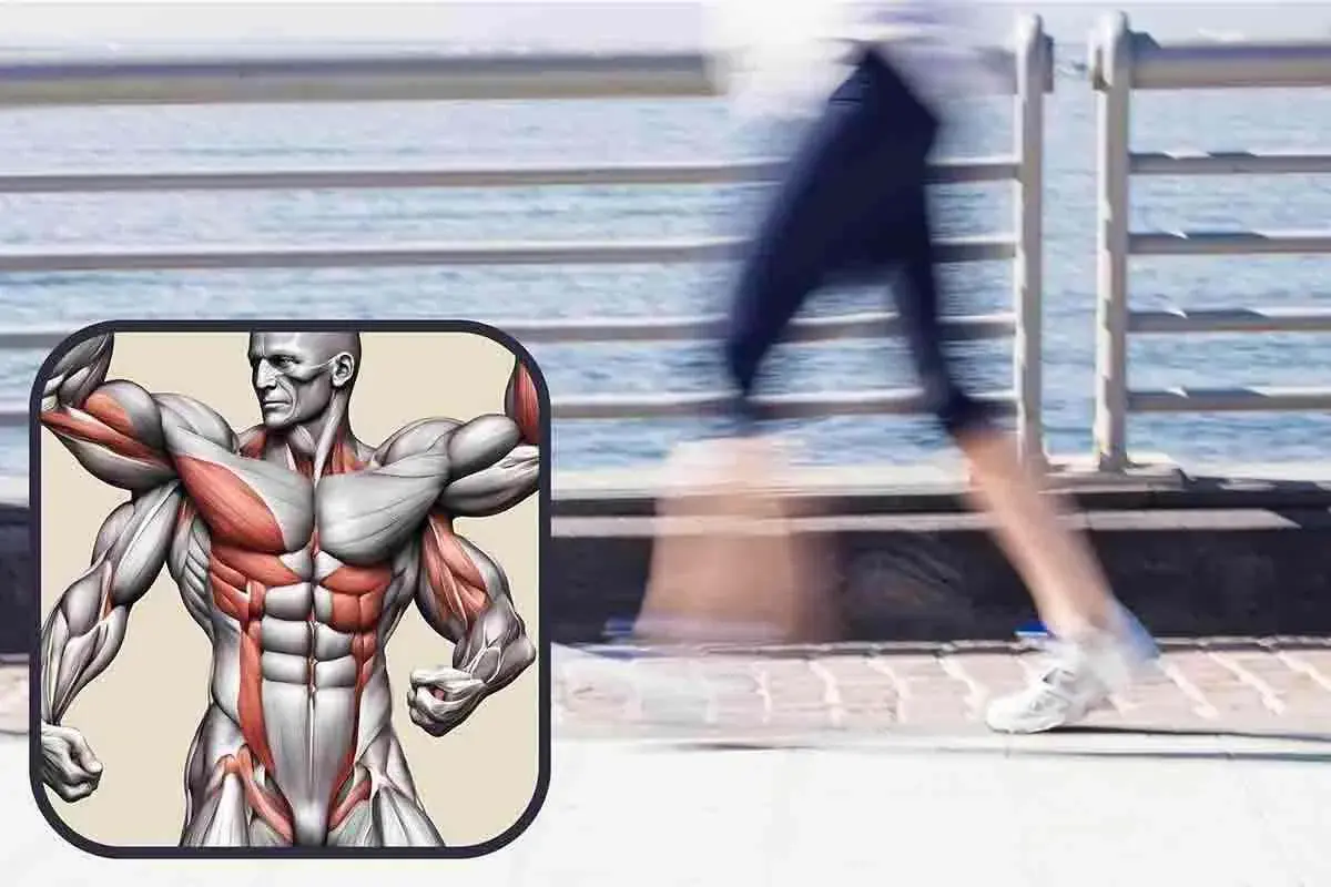 Muscoli definiti in primo piano, mentre sullo sfondo una persona corre, mostrando l'importanza della camminata per la forma fisica.
