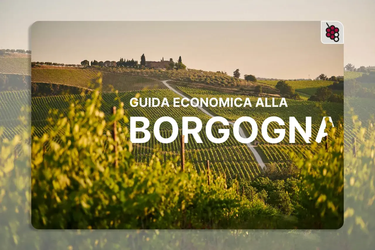 Vigneti rigogliosi sotto il sole, con un casolare in collina. Guida economica alla Borgogna, per scoprire i suoi vini.
