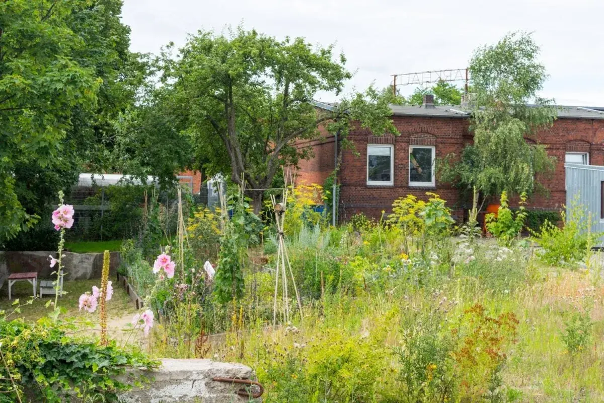 Un giardino rigoglioso e selvaggio, dove si può lasciare un terreno incolto per far prosperare fiori e piante spontanee, con una casa in mattoni sullo sfondo.