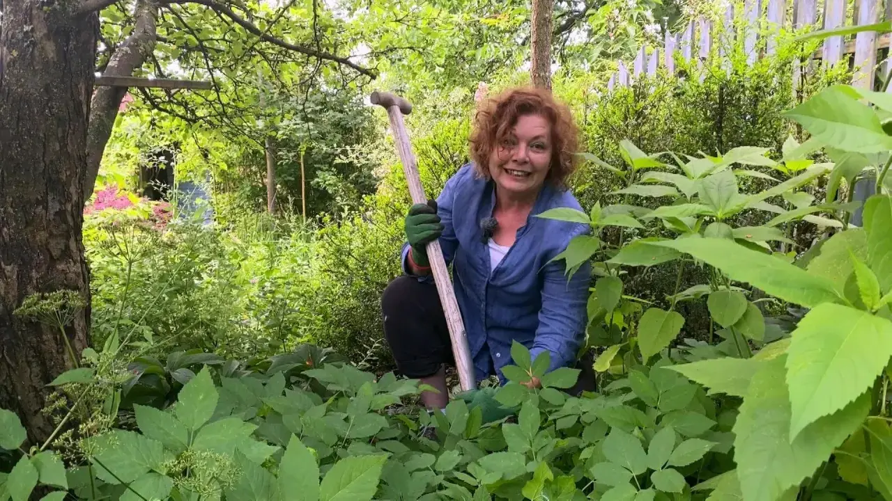Frau im Garten mit Schaufel, um Giersch zu erkennen. Giersch ist ein hartnäckiges Kraut, das man im Auge behalten muss.