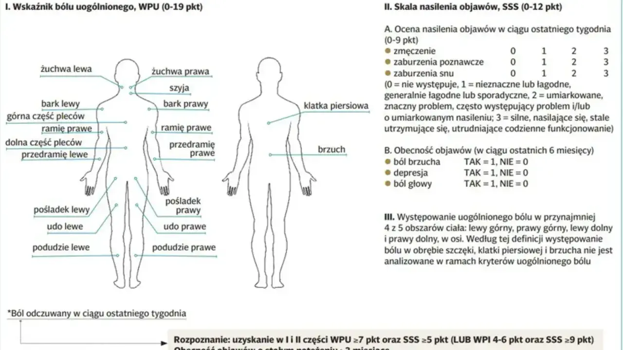 Schemat przedstawia lokalizację bólu w fibromialgii. Co to jest fibromialgia? To zespół objawów, m.in. bólu, zmęczenia, zaburzeń snu.
