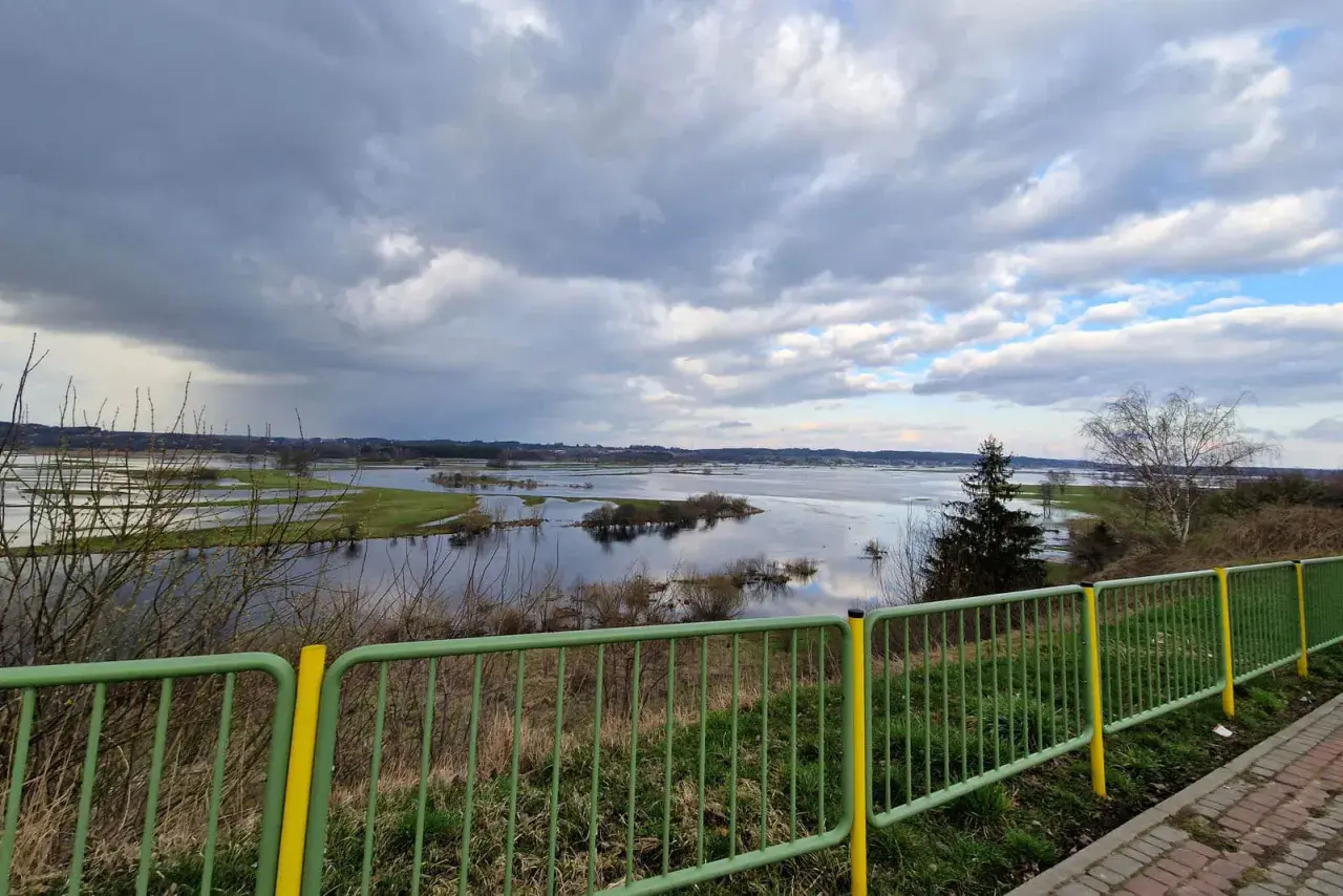 Rozlewiska Narwi koło Łomży, malownicze widoki i dzika przyroda. To jedne z wielu atrakcji regionu.