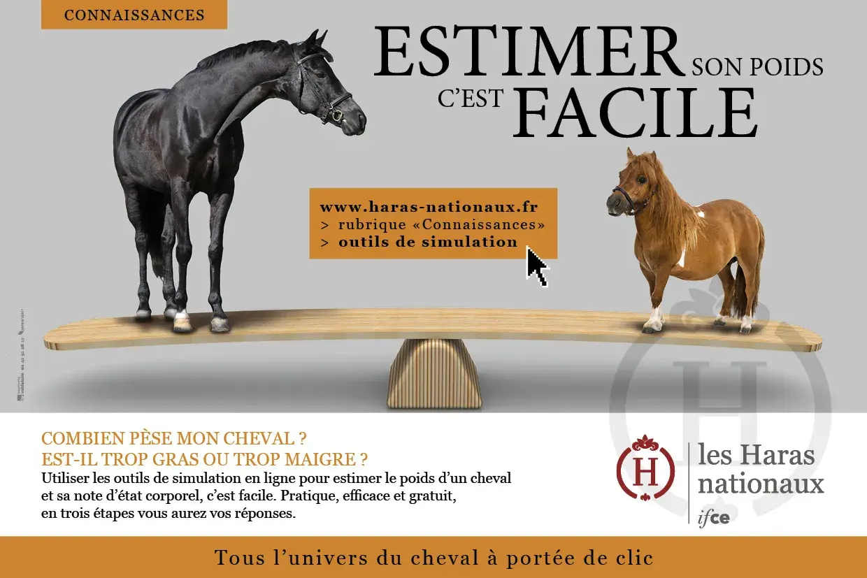 Un grand cheval noir et un poney roux sont sur une balance. L'image suggère d'estimer le poids de votre cheval, car combien de foin mange un cheval par jour dépend de son poids.