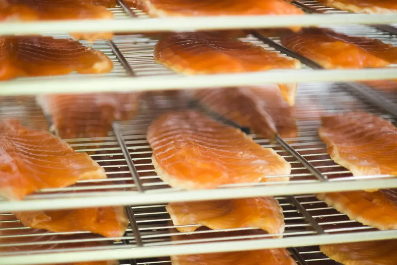 Filets de truite saumonée sur des grilles, prêts pour le temps de fumage. L'orange vif des poissons contraste avec les grilles métalliques.