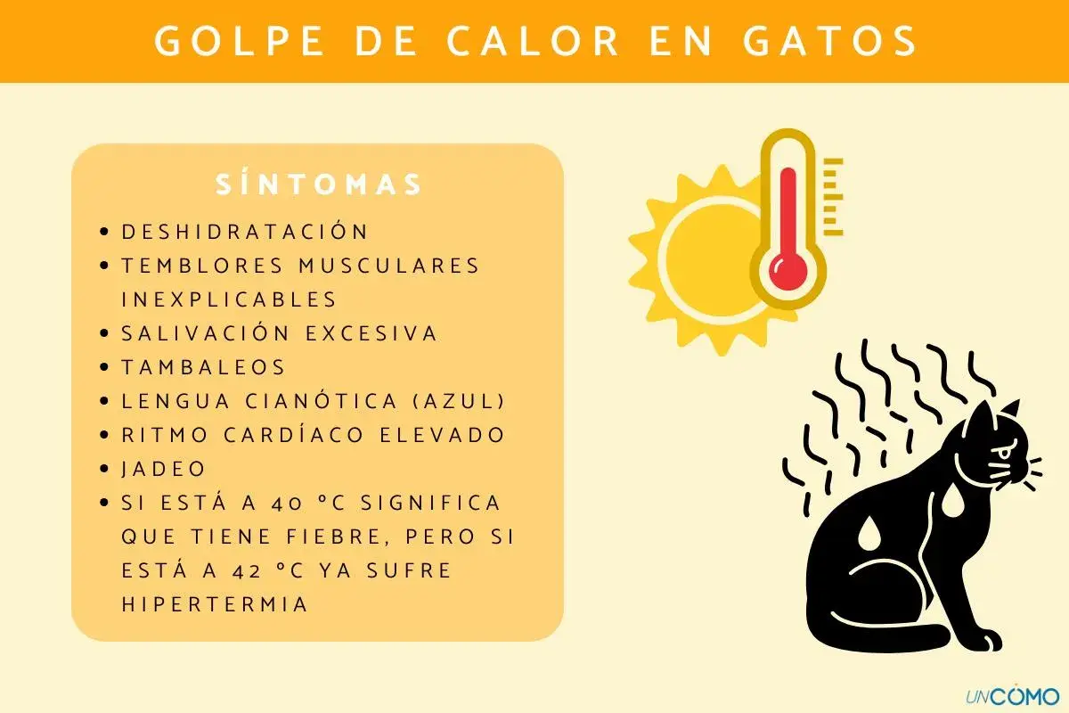 Ilustración sobre el golpe de calor en gatos, mostrando síntomas como jadeo y deshidratación. El sol y un termómetro indican altas temperaturas.
