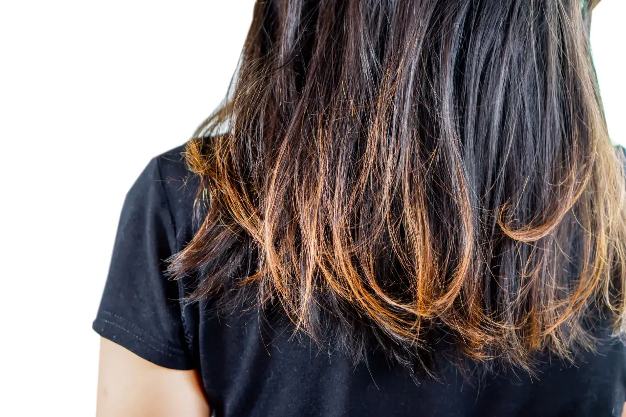 Capelli scuri con riflessi ramati, visibilmente secchi e con **capelli spezzati** alle punte, che necessitano di cure.